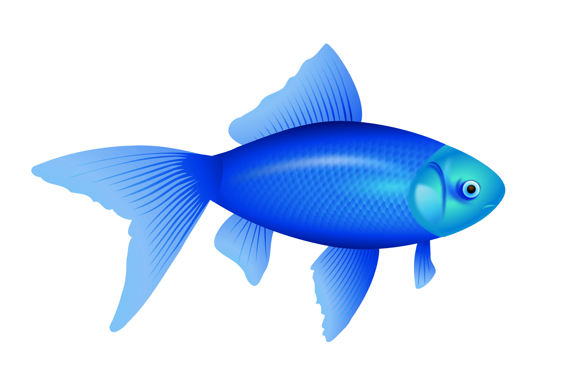 Blue Fish Png Image Transparent PNG Image