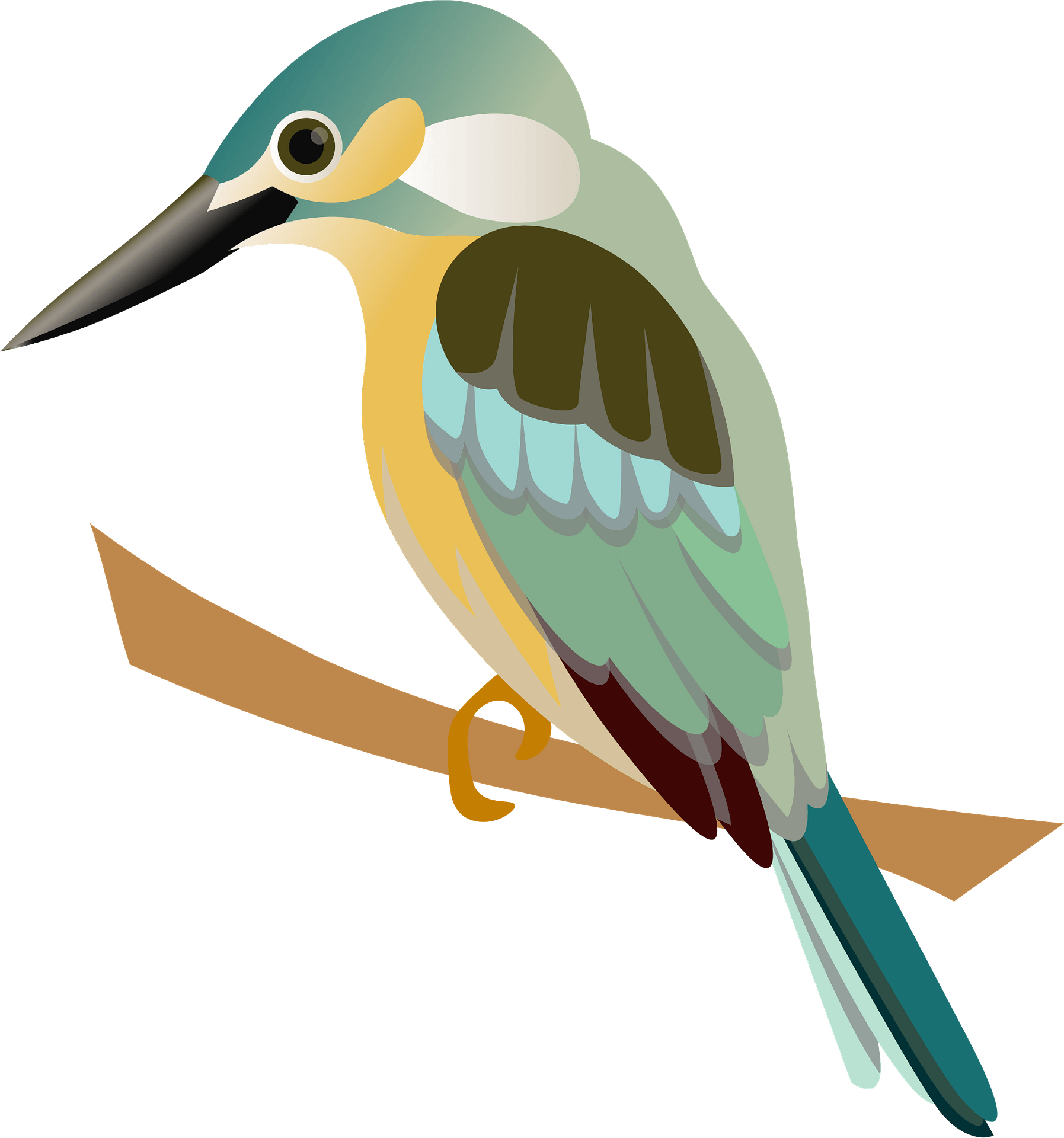 Kingfisher Bird Beak PNG Image High Quality Transparent PNG Image