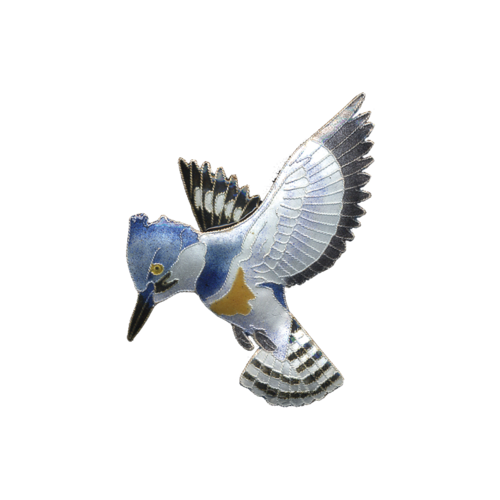 Kingfisher Bird Free Download PNG HQ Transparent PNG Image