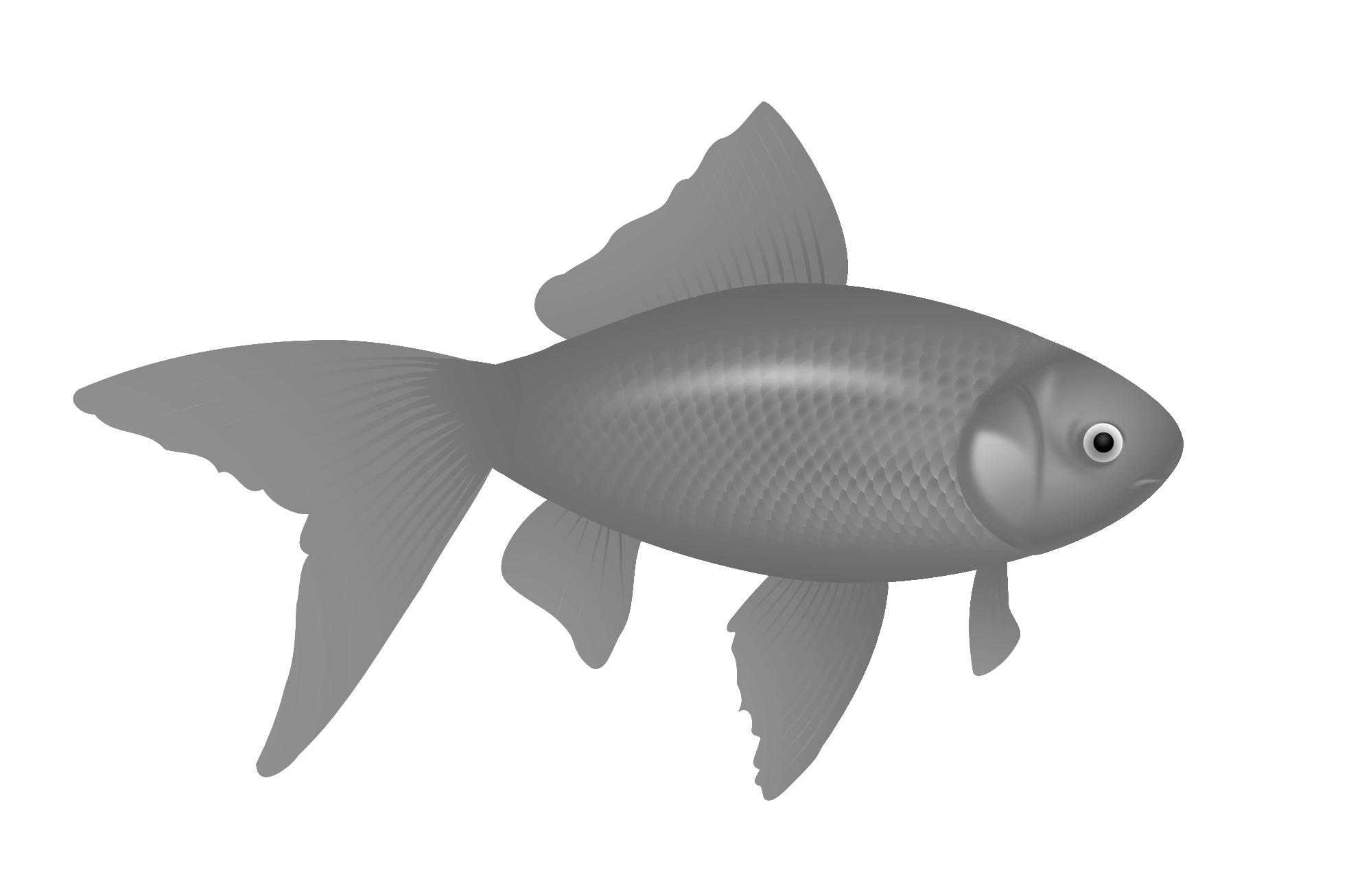 Fish Png Image Transparent PNG Image