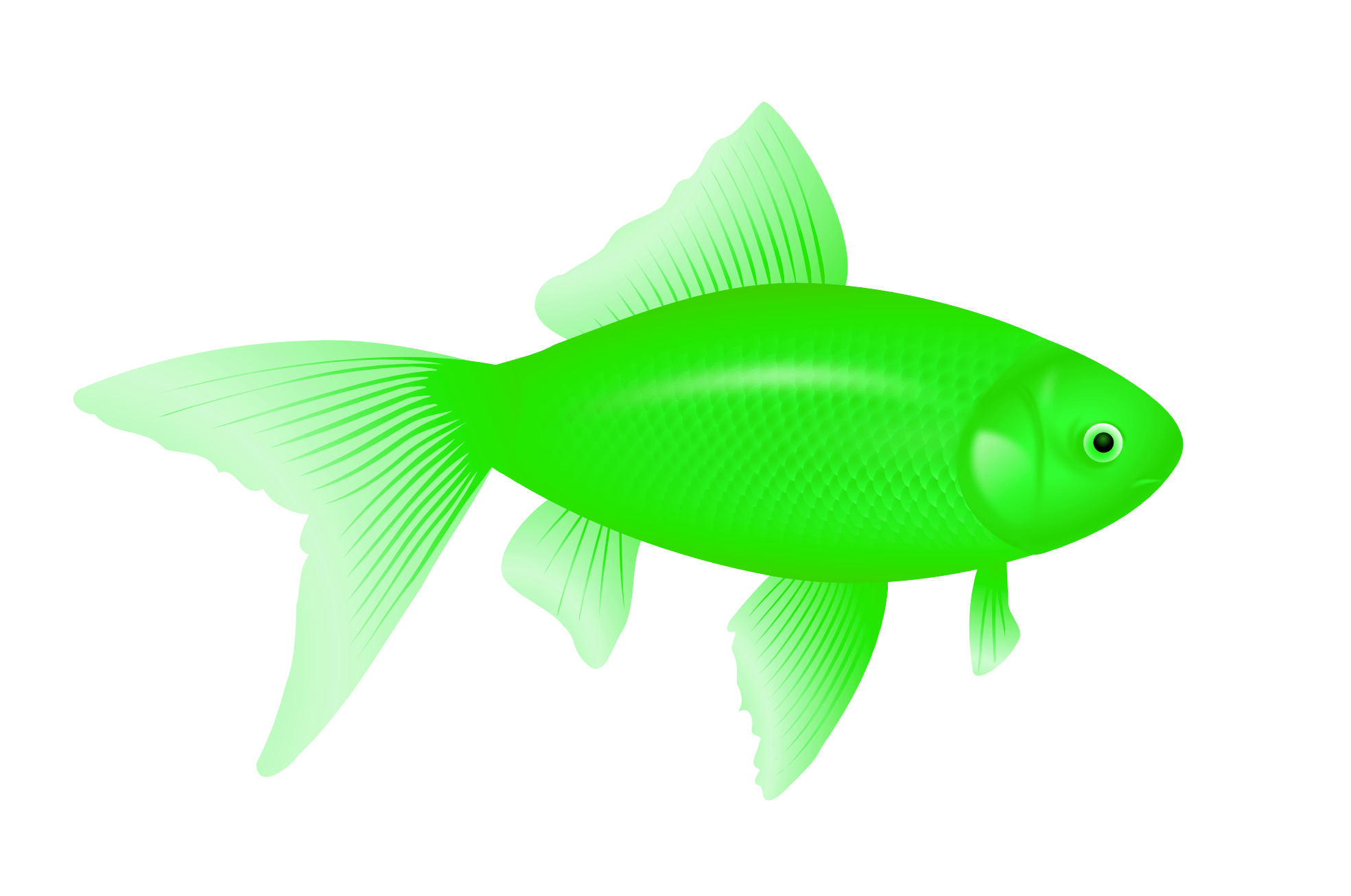 Green Fish Png Image Transparent PNG Image