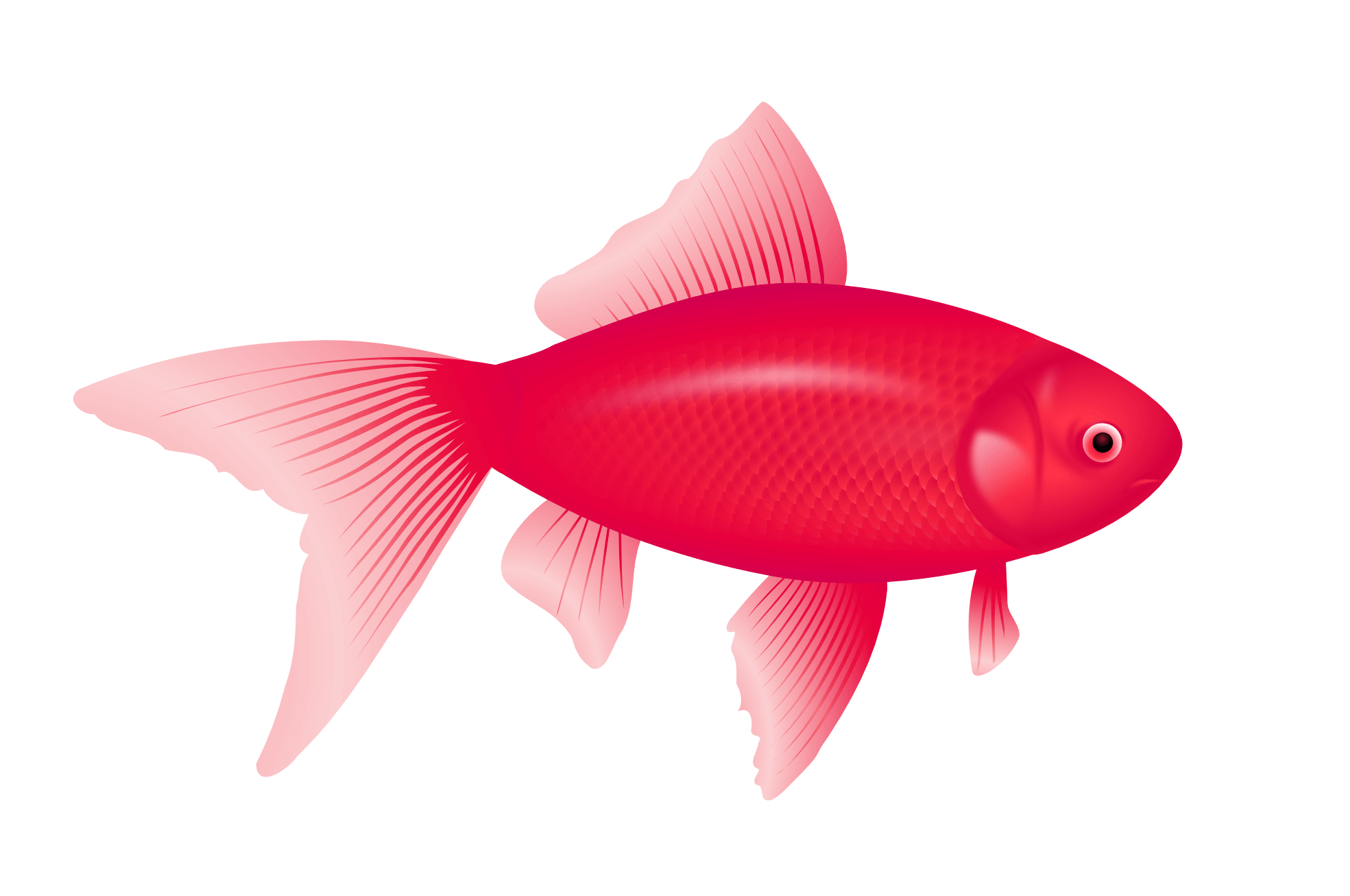 Purple Fish Png Image Transparent PNG Image