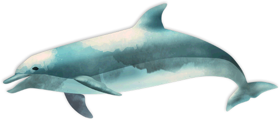 Ocean Fish Image Transparent PNG Image