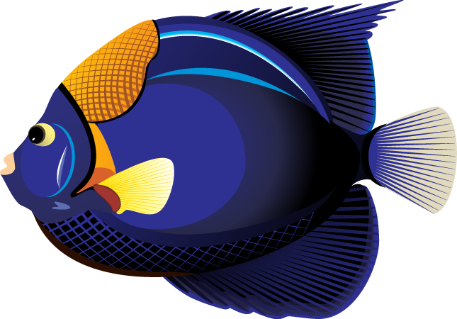 Ocean Fish Clipart Transparent PNG Image