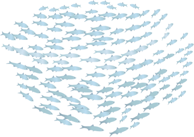 School Of Fish Transparent PNG Image