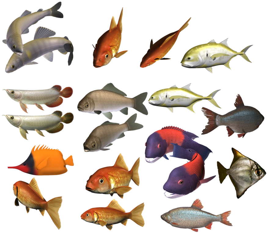 School Of Fish Image Transparent PNG Image