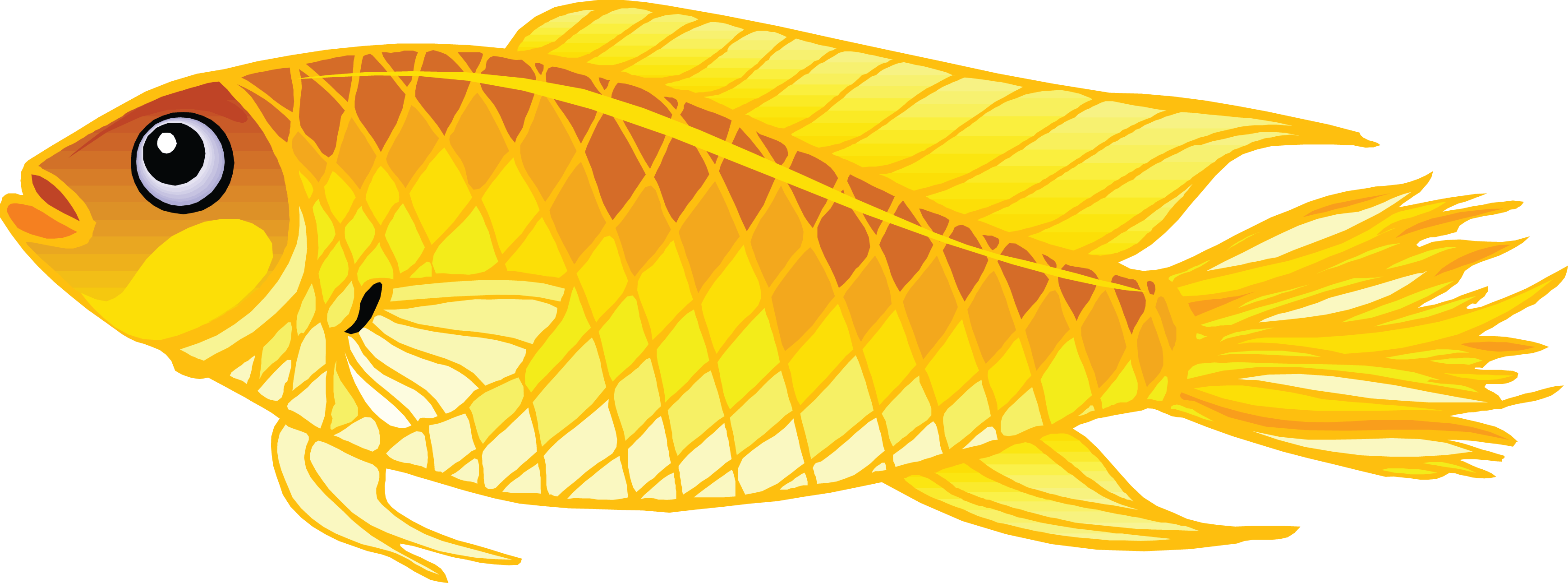 Gold Fish Png Image Transparent PNG Image