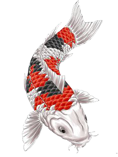 Fish Tattoos Picture Transparent PNG Image