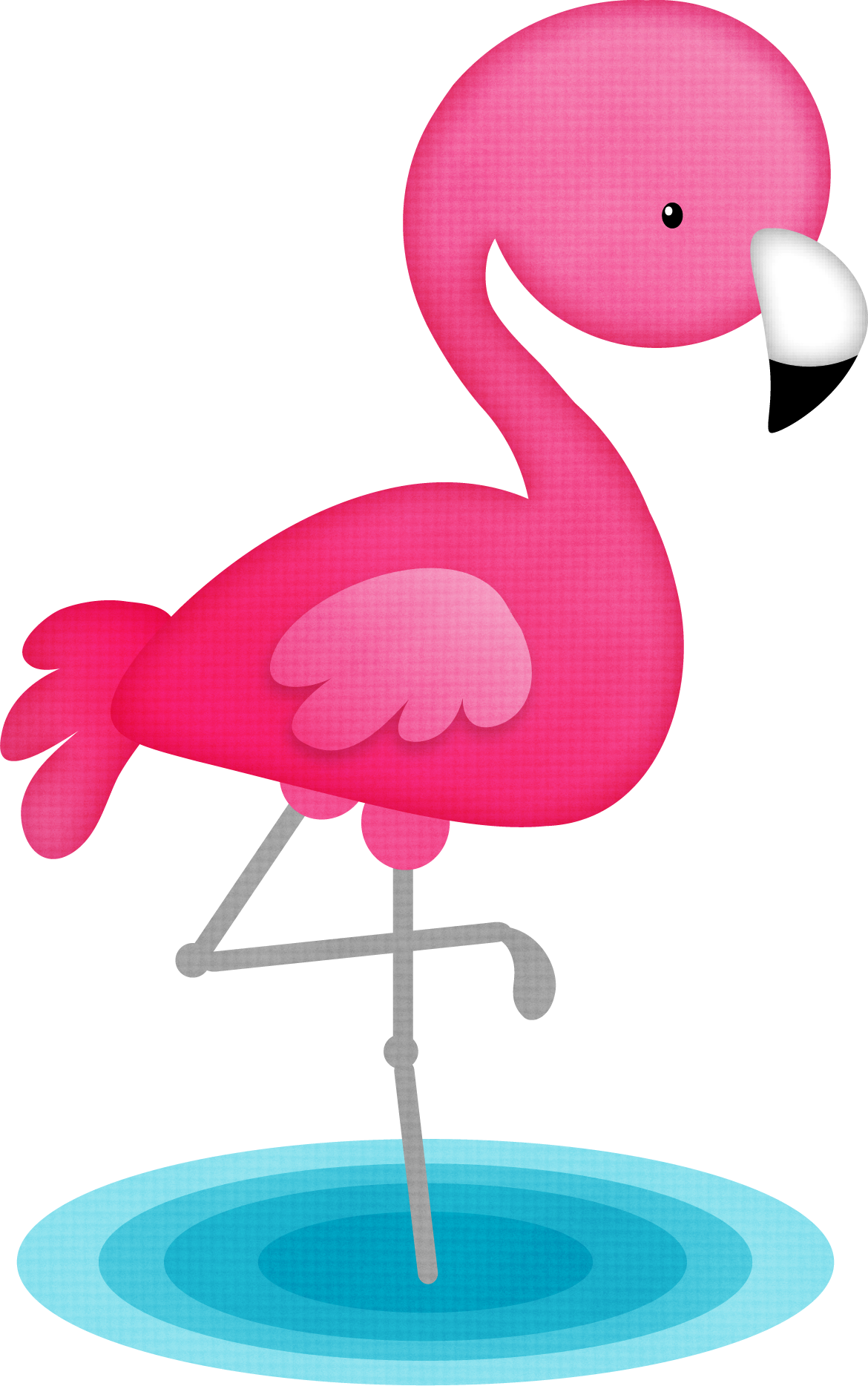 Vector Flamingo Bird Free Photo Transparent PNG Image