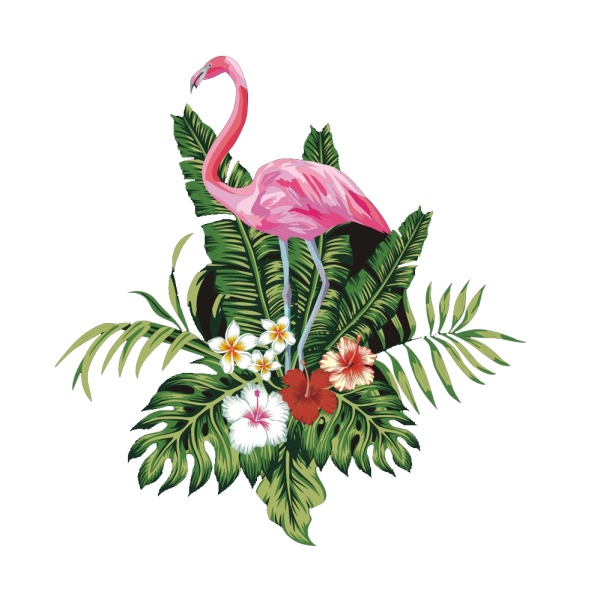 Vector Flamingo Bird Flower Free Transparent Image HQ Transparent PNG Image