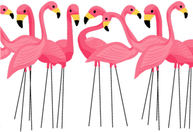 Vector Flamingo Love Bird Free Photo Transparent PNG Image