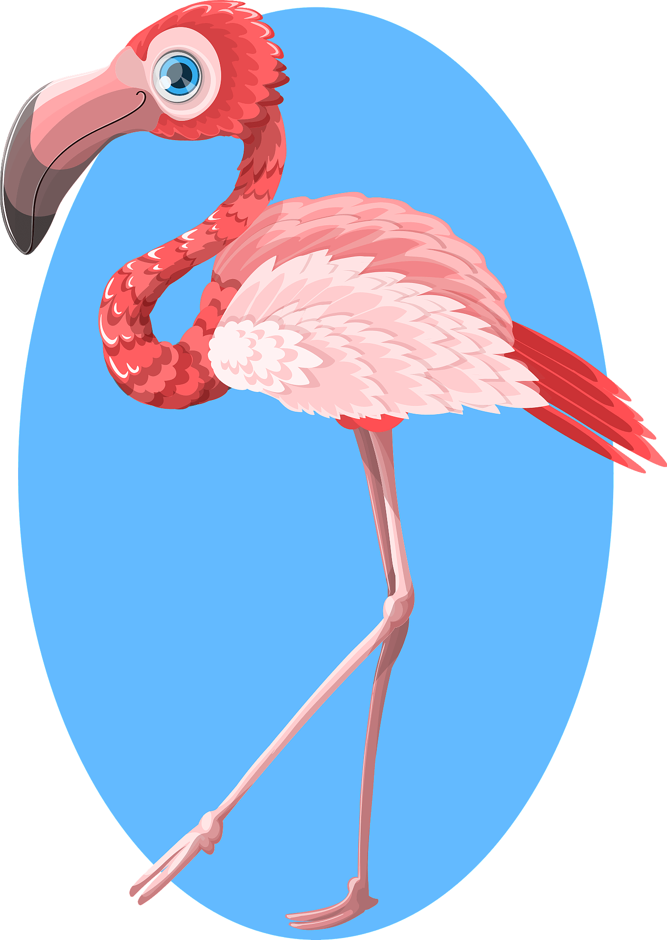 Vector Pink Flamingo Bird Free Clipart HD Transparent PNG Image