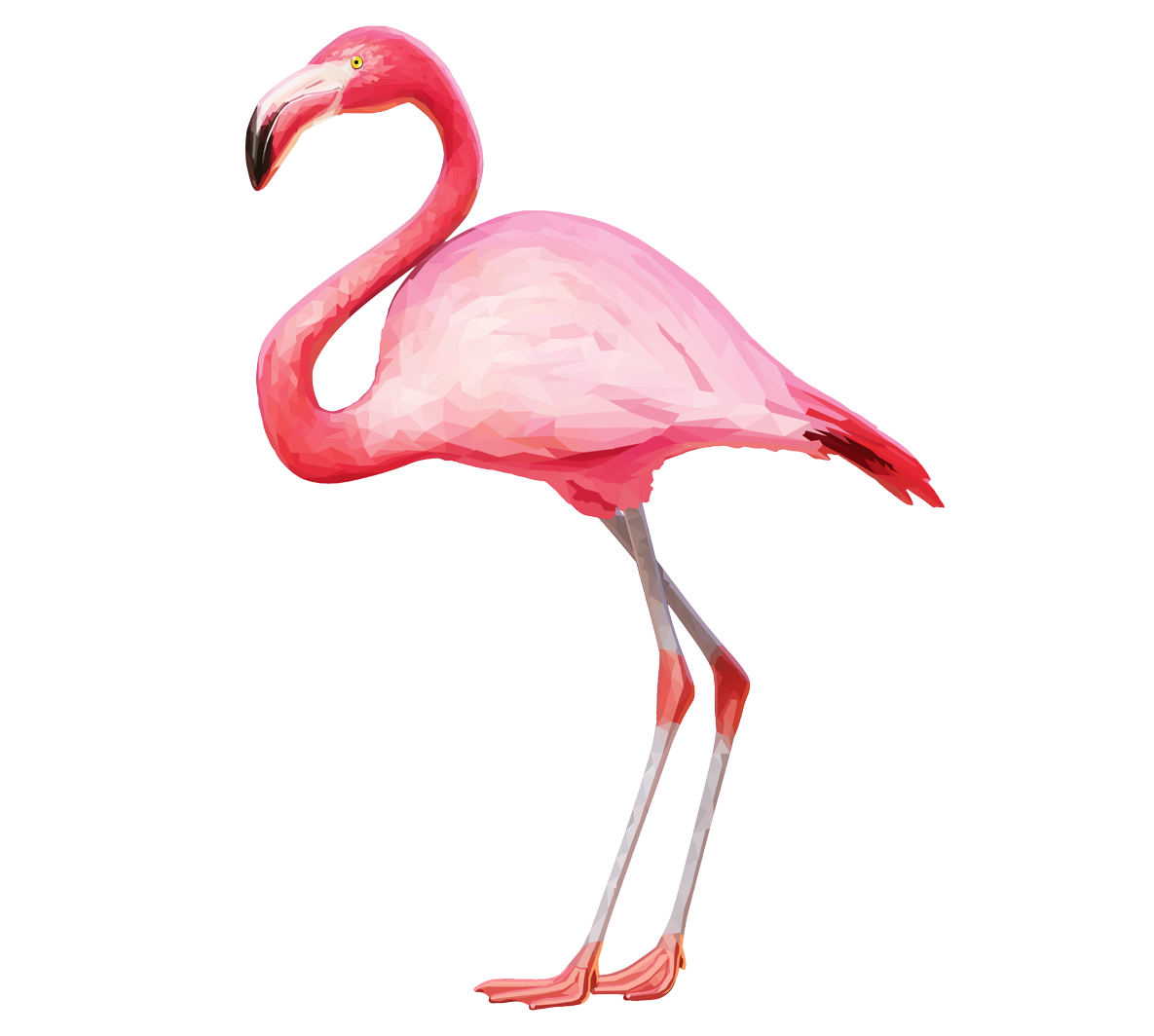 Vector Flamingo Bird Free Clipart HQ Transparent PNG Image