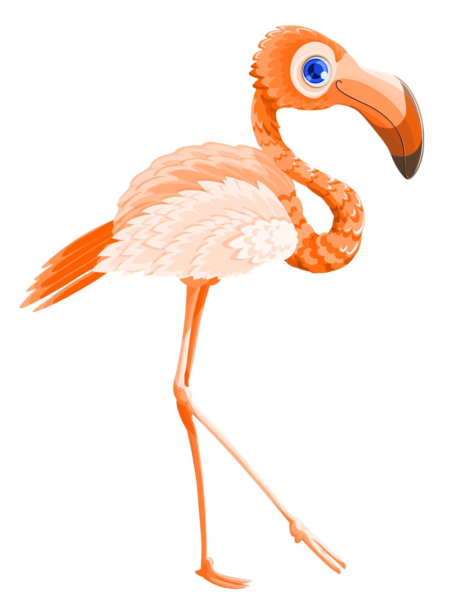 Vector Walking Flamingo Bird Free Download PNG HD Transparent PNG Image