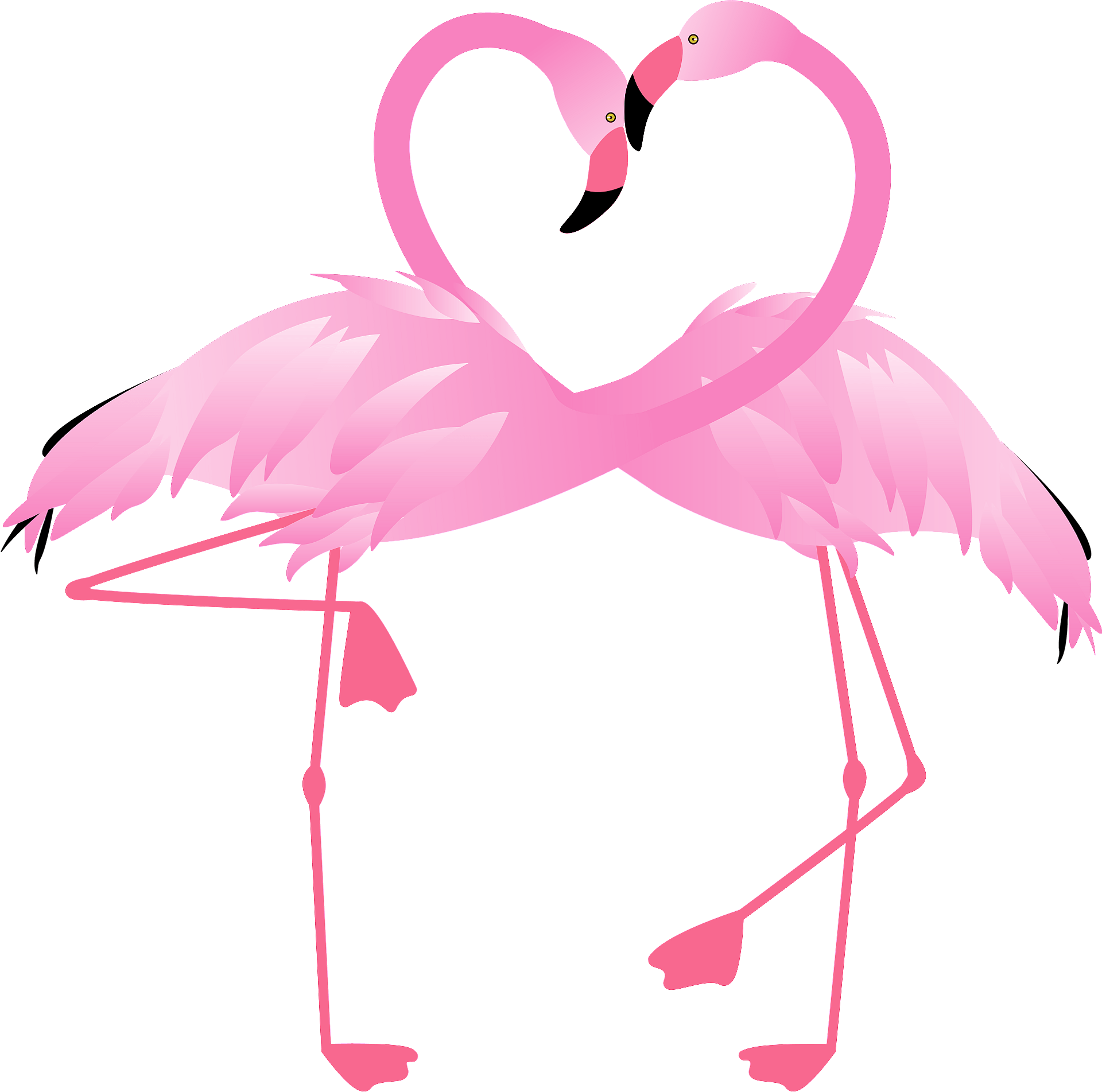 Vector Flamingo Love Bird Free Download Image Transparent PNG Image