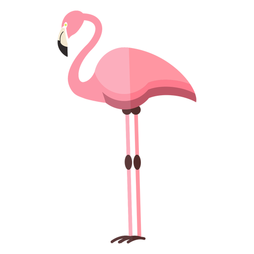 Standing Flamingo Bird Vector PNG File HD Transparent PNG Image