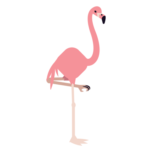 Tropical Flamingo Bird Vector Free PNG HQ Transparent PNG Image