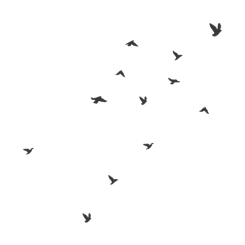 Of Flock Flying Birds Free Download PNG HQ Transparent PNG Image