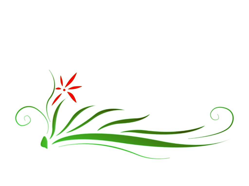 Floral Hd Transparent PNG Image