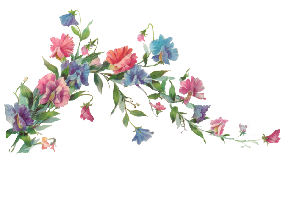 Floral Transparent Transparent PNG Image