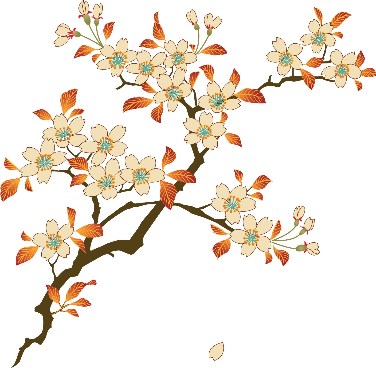 Floral Photos Transparent PNG Image