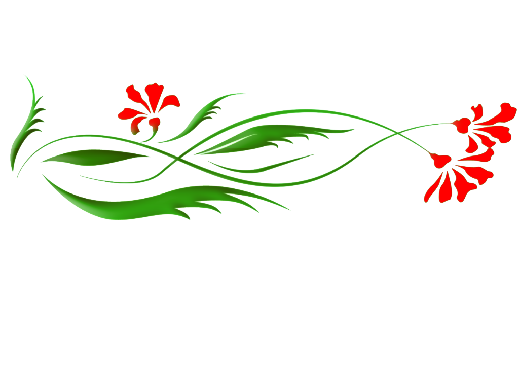 Floral Picture Transparent PNG Image