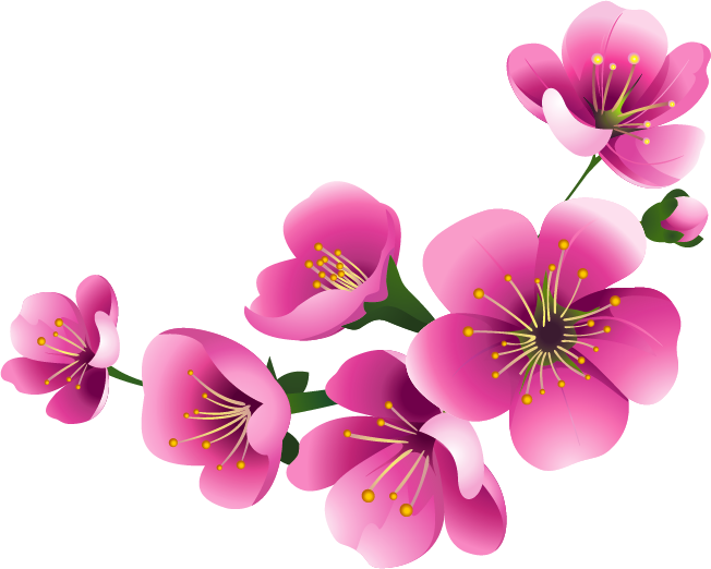 Blossom Flower Free PNG HQ Transparent PNG Image