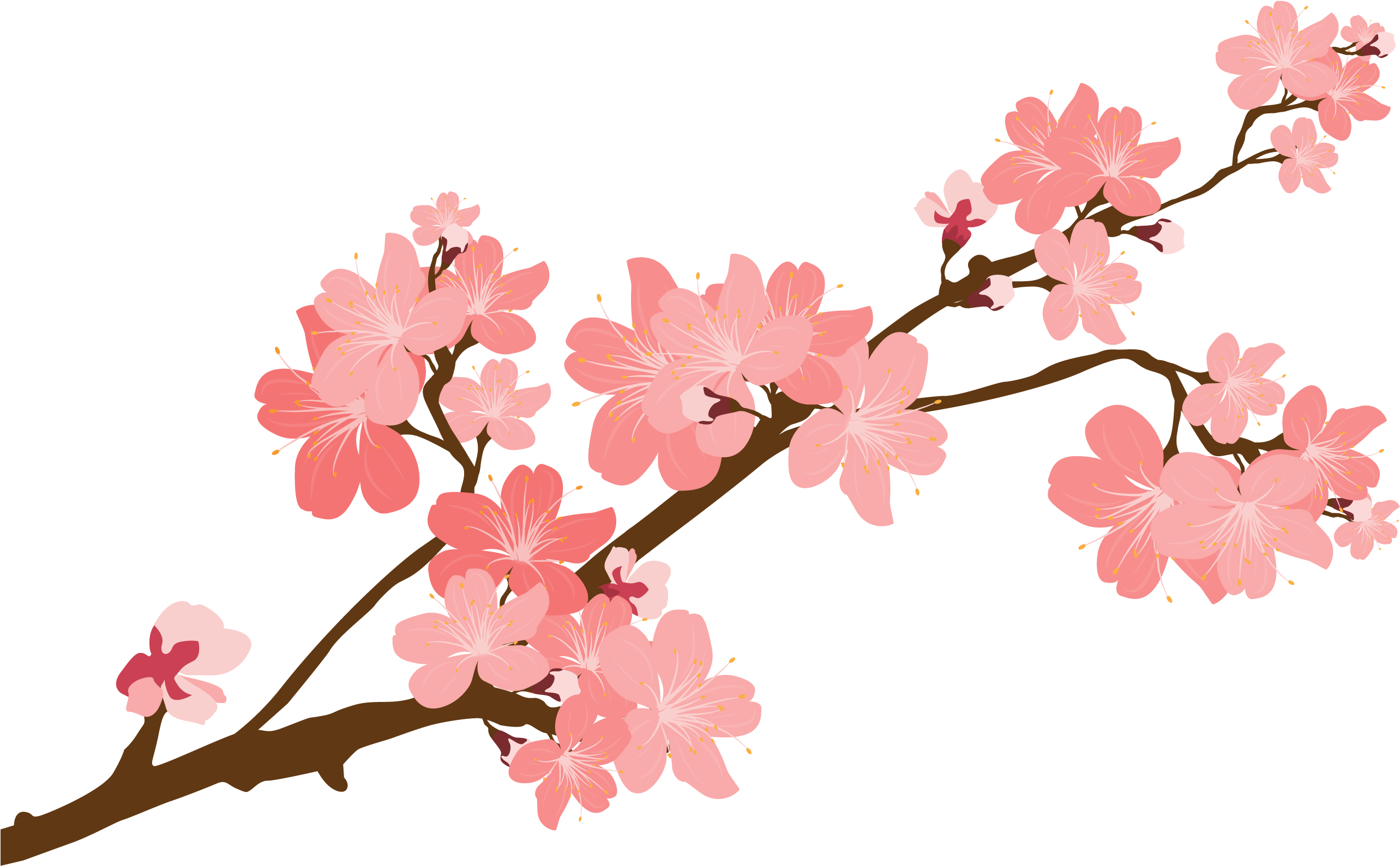 Blossom Flower Vector PNG Image High Quality Transparent PNG Image