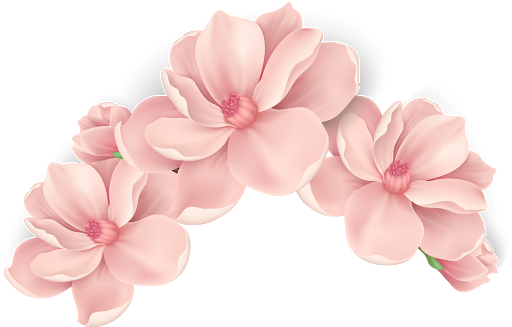 Vector Flowers Free Download PNG HD Transparent PNG Image