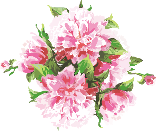 Pink Watercolor Flowers Vector Free Clipart HQ Transparent PNG Image