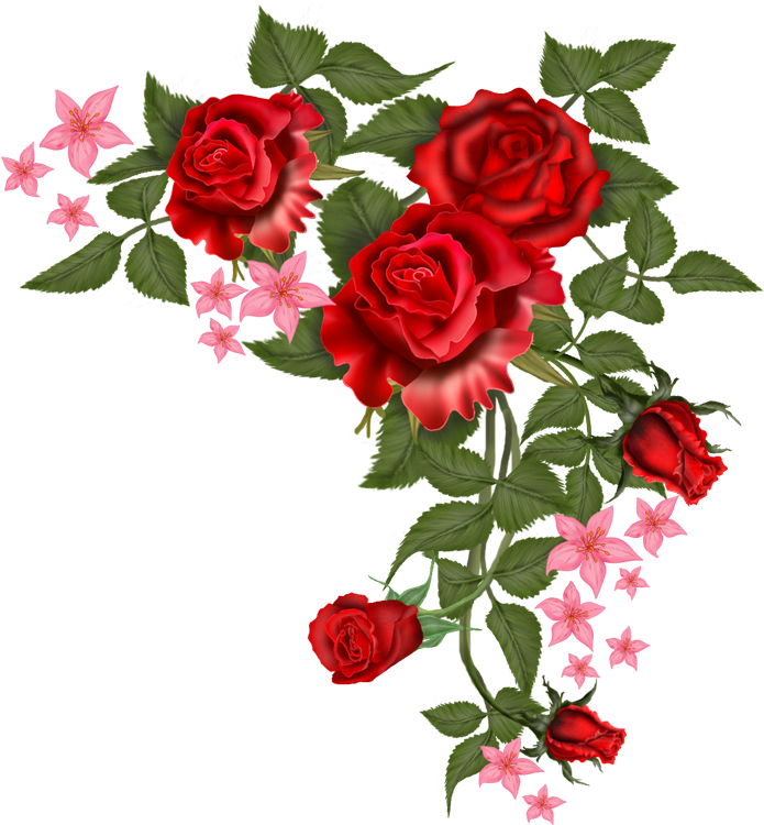 Vector Flowers Red Free Clipart HQ Transparent PNG Image