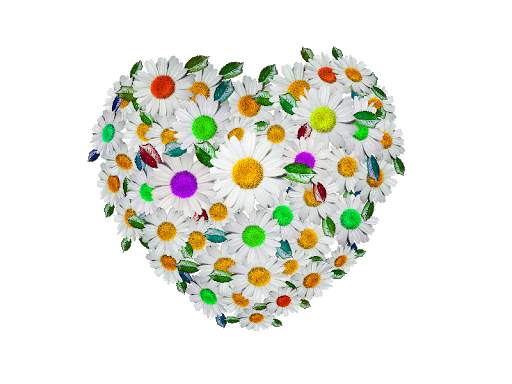 Heart Flower Free Photo Transparent PNG Image