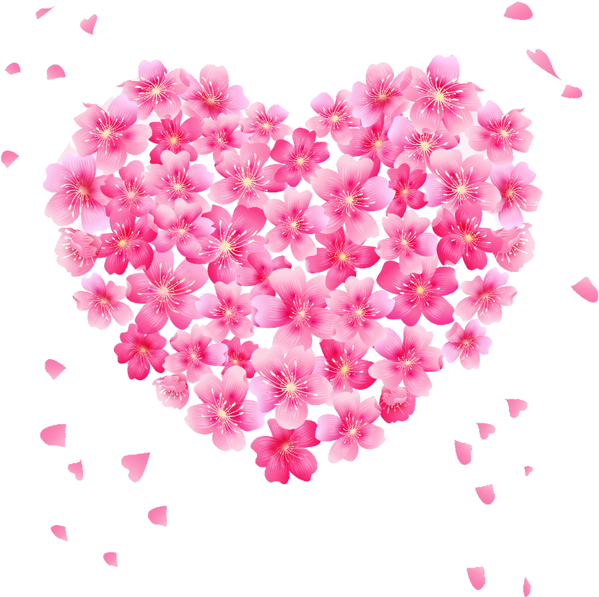 Heart Vector Love Flower Photos Transparent PNG Image