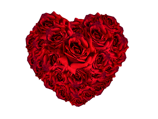 Heart Flower Red PNG Free Photo Transparent PNG Image