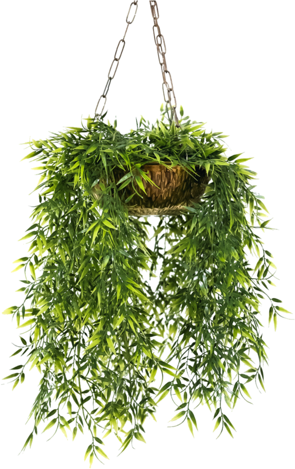 Pot Flower Hanging Free Clipart HD Transparent PNG Image