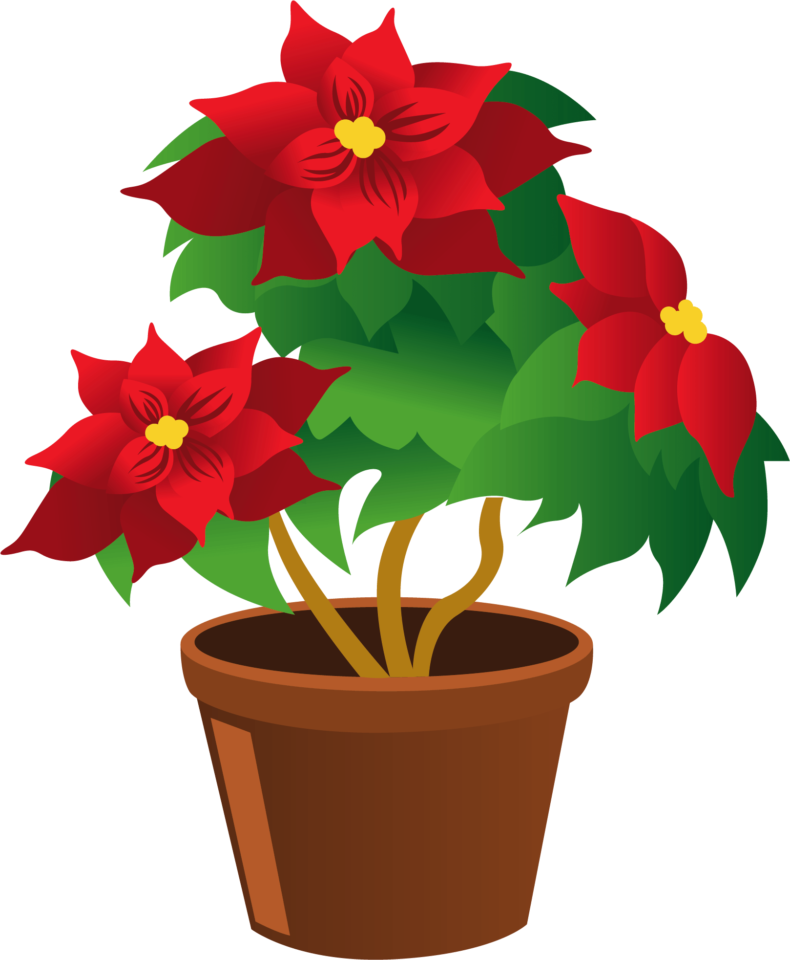 Vector Pot Flower Free Download Image Transparent PNG Image