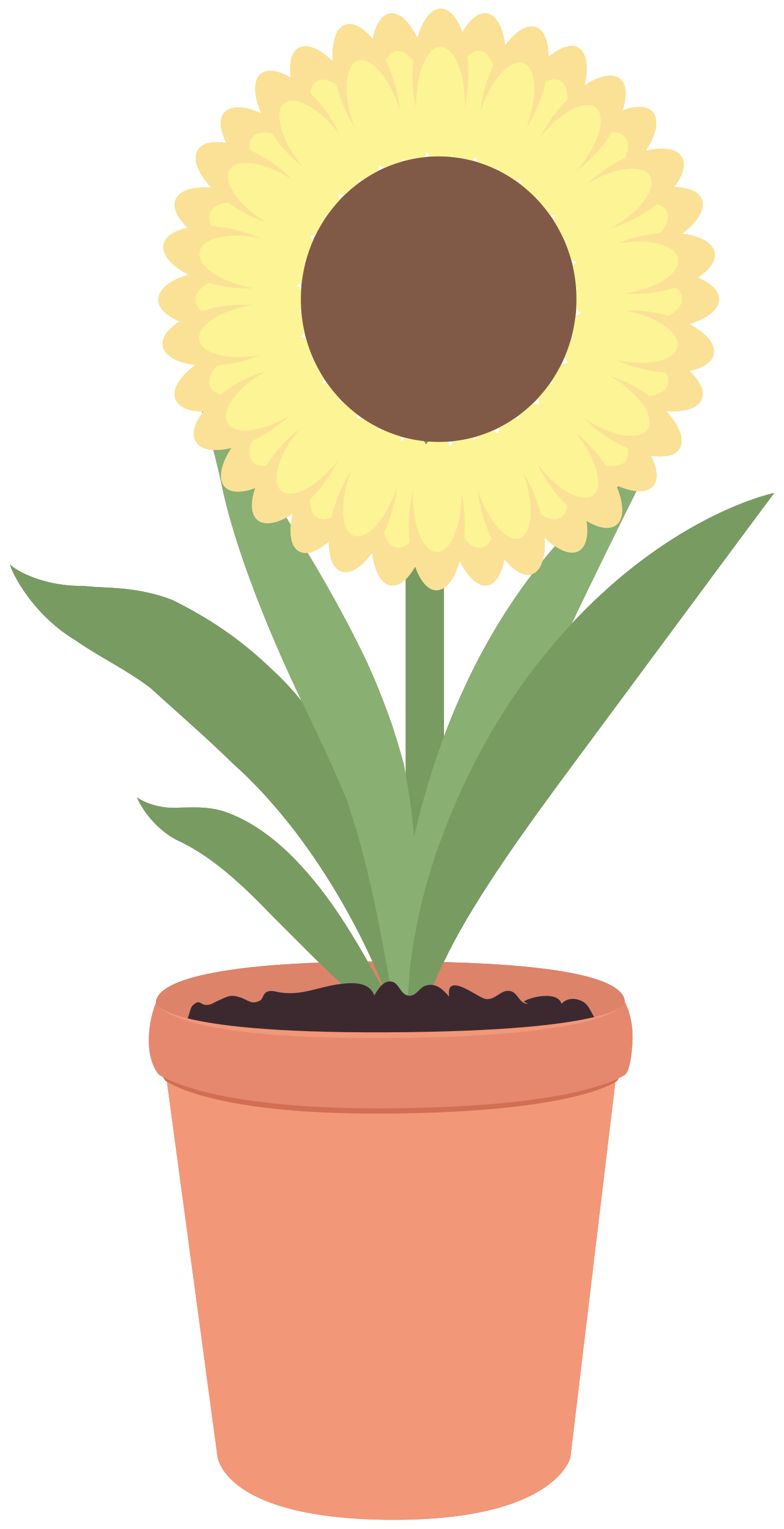 Vector Pot Flower HD Image Free Transparent PNG Image