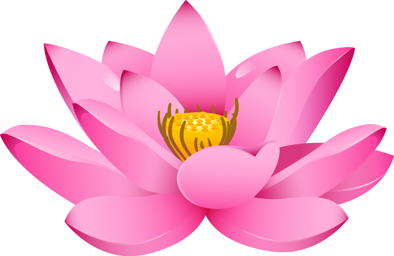 Pink Lotus Flower PNG Download Free Transparent PNG Image