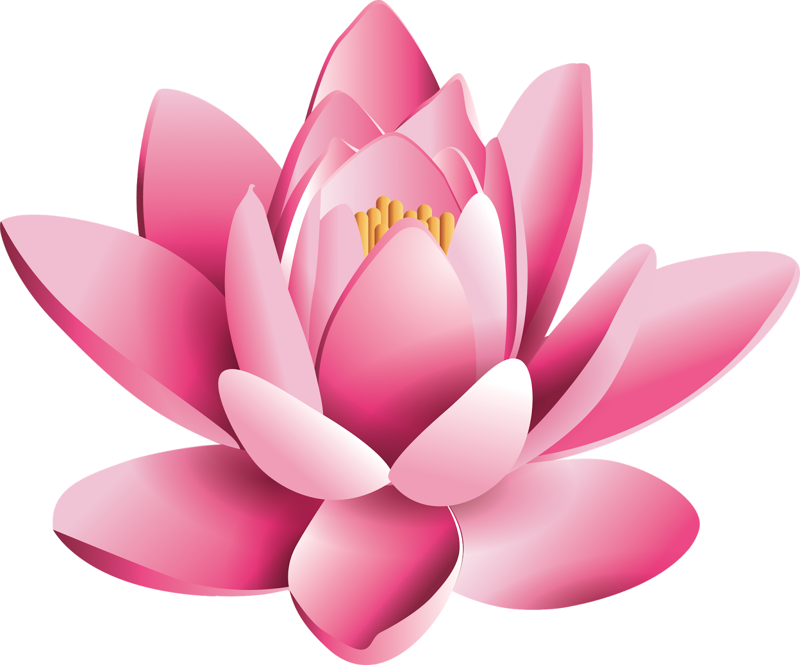 Pink Lotus Flower Pic Free Photo Transparent PNG Image