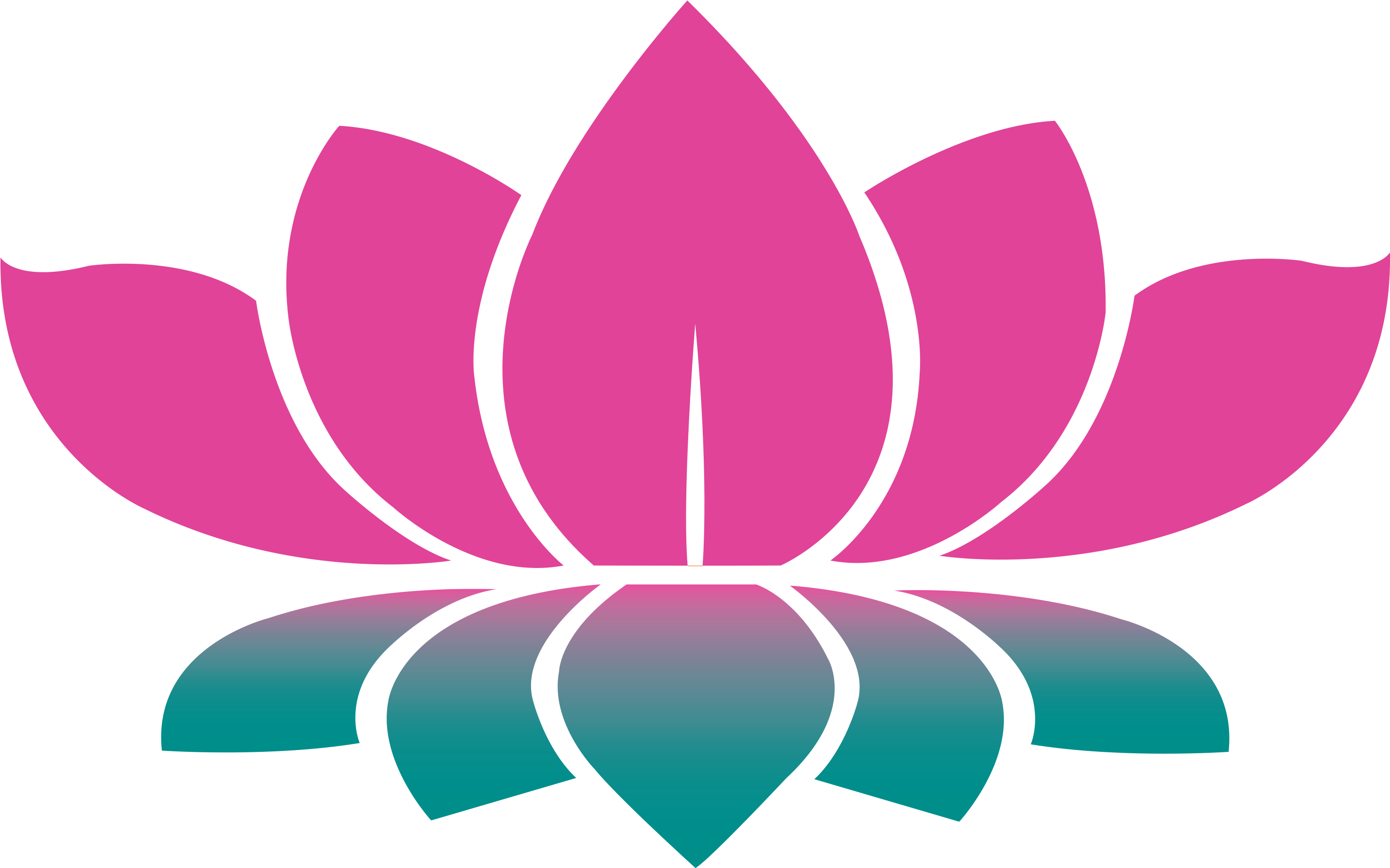 Lotus Photos Vector Flower Free Clipart HD Transparent PNG Image