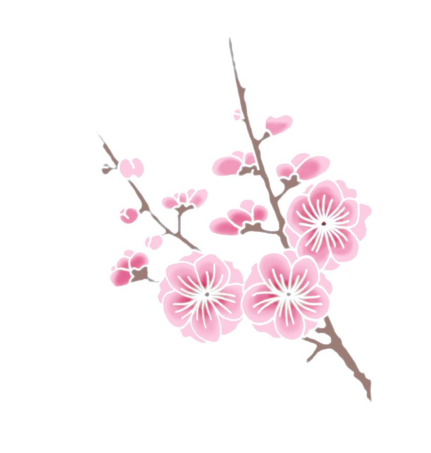 Cherry Blossom Clipart Transparent PNG Image