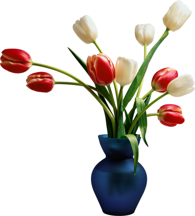 Blue Installation Package Tulips Vase Application Computer Transparent PNG Image