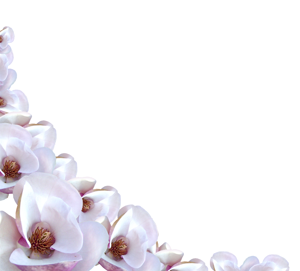 Flowers Border Flower Free HQ Image Transparent PNG Image