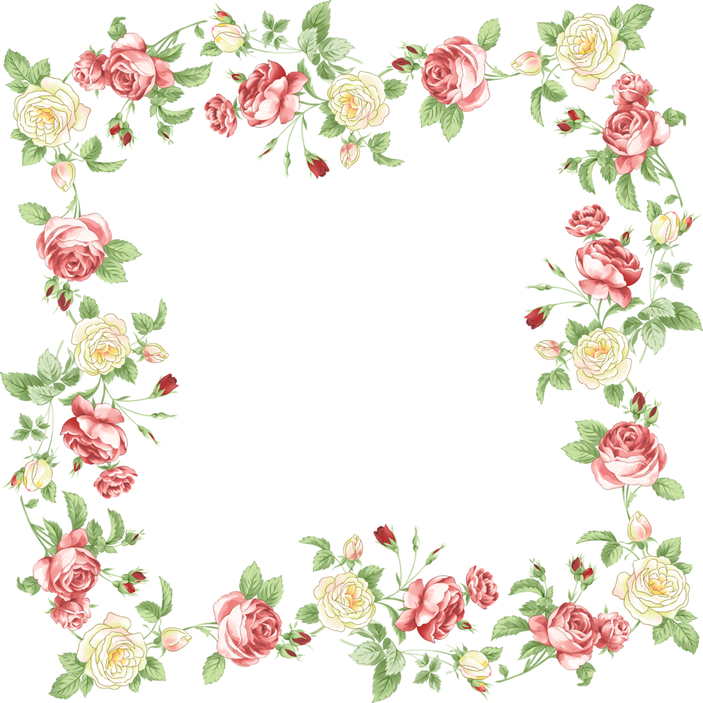 And Flower Portable Floral Design Graphics Frames Transparent PNG Image