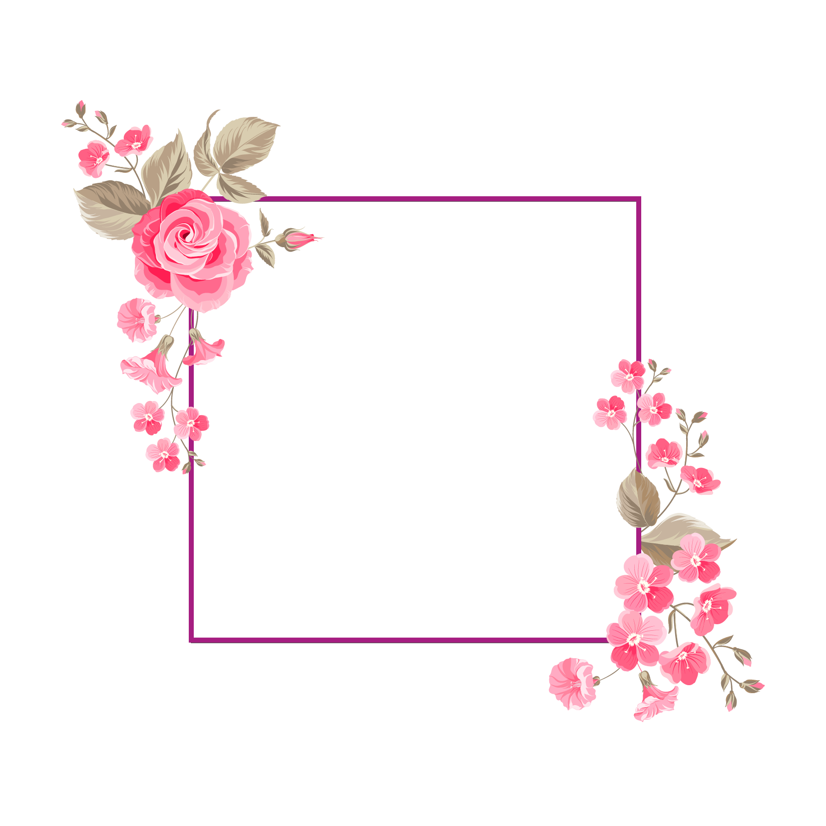 And Flower Portable Floral Vector Design Graphics Transparent PNG Image