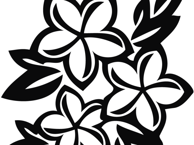 And Flower Floral Design Frames Borders Drawing Transparent PNG Image