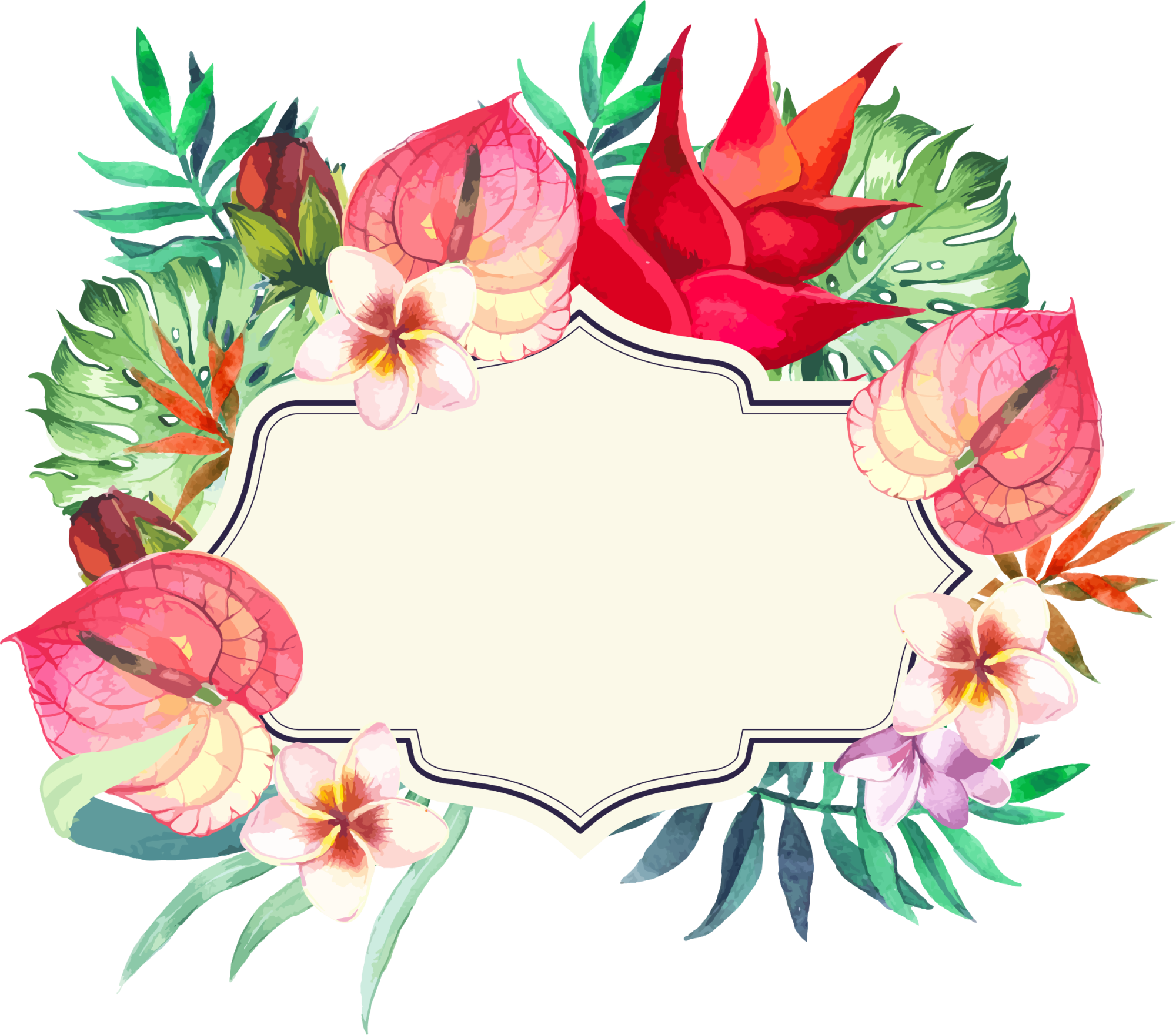 Frame Flower Colorful PNG Free Photo Transparent PNG Image