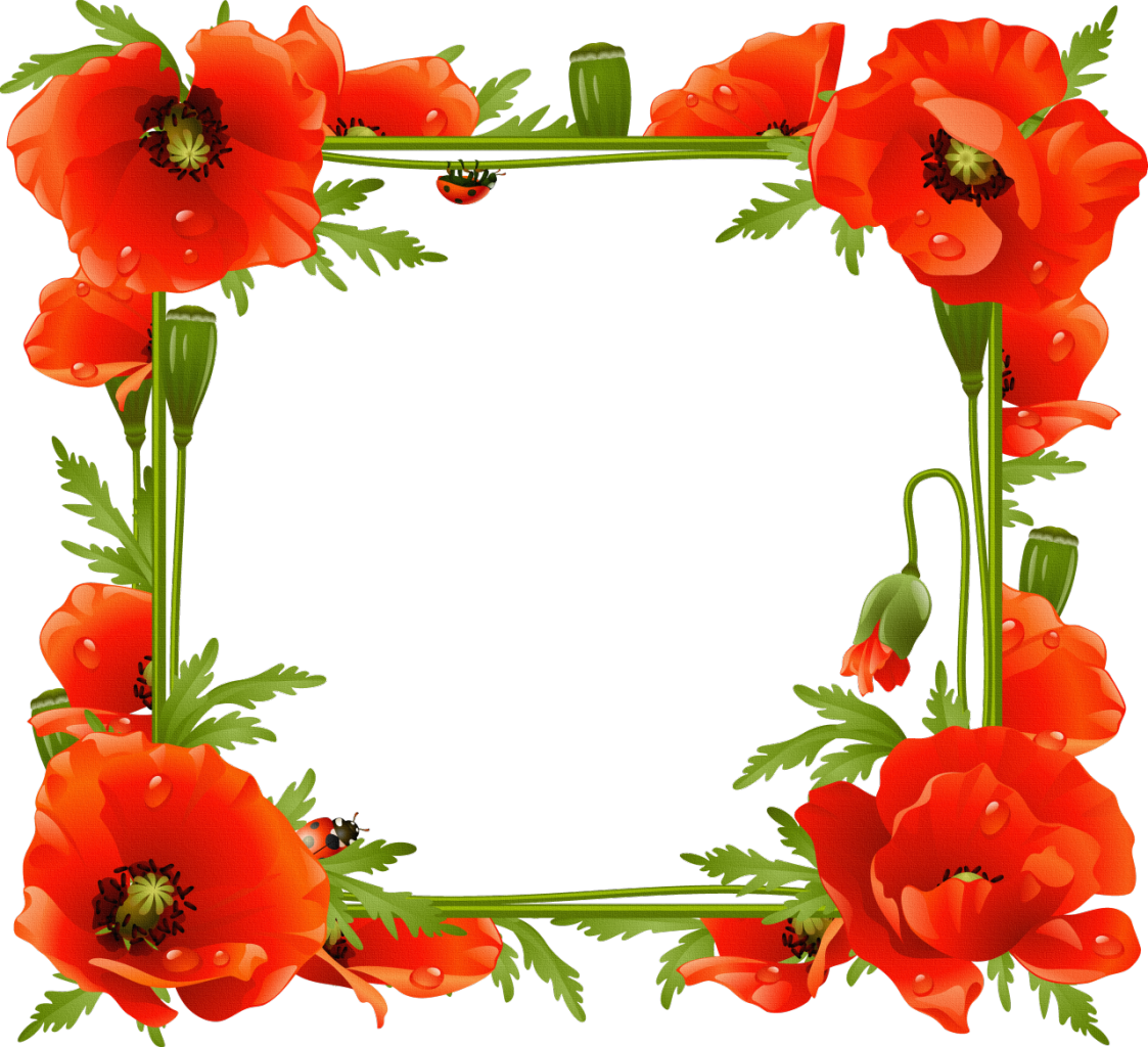 Picture Flower Frame Common Frames Poppy Transparent PNG Image