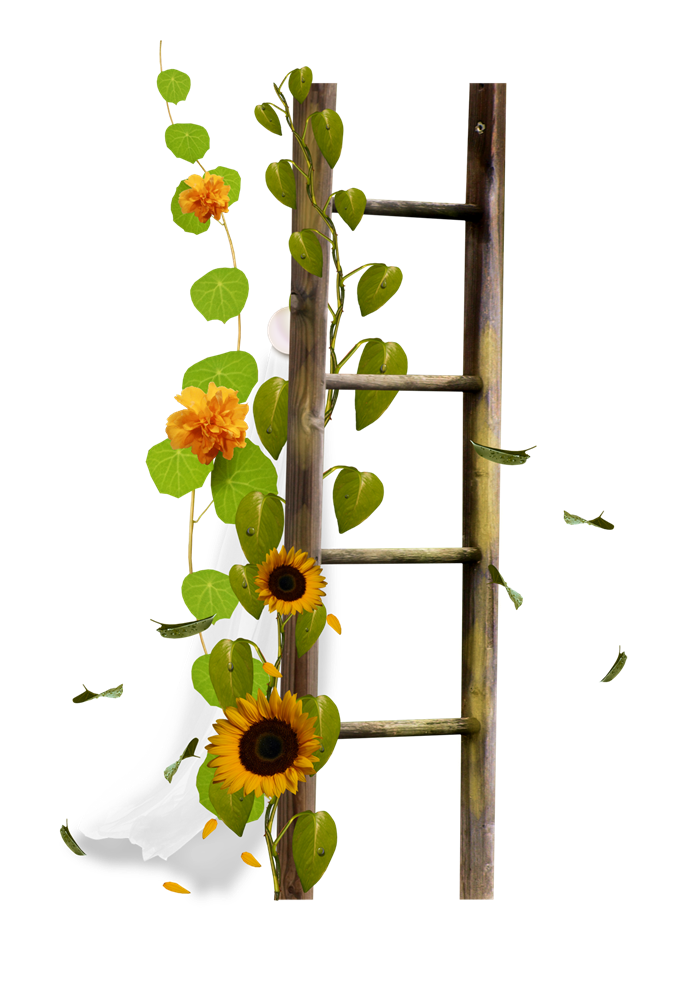 Flower Stairs Ladder Drawing Border Sticker Transparent PNG Image