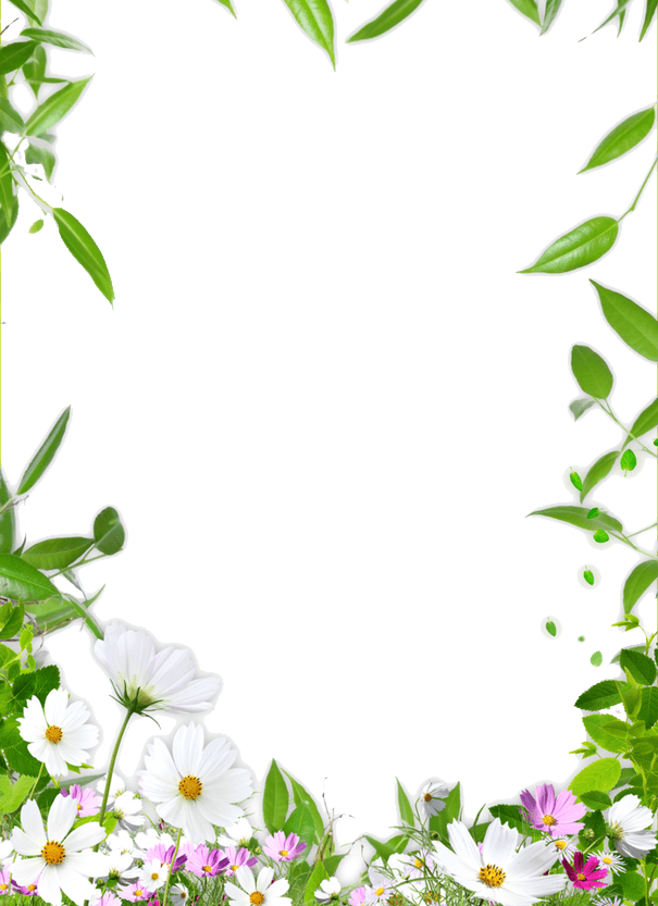 Picture Ceiling Flower Frame Border Drawing Transparent PNG Image